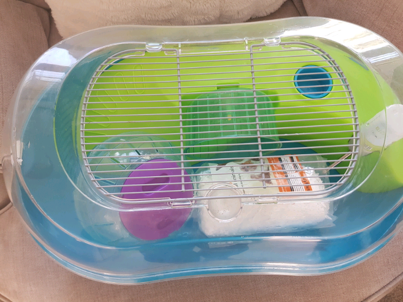 Hamster Tubes Free